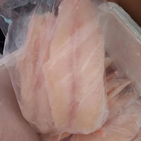 Fillet Ikan Dori A3